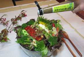 【飛騨えごまの醸しだれ】をいろいろ野菜のサラダに